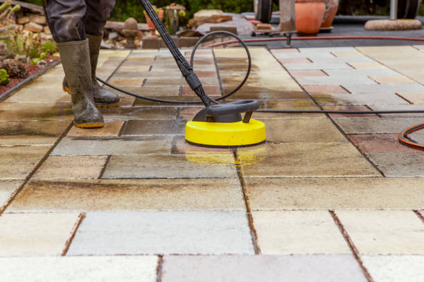 Best Fence Cleaning  in Wilson, NC